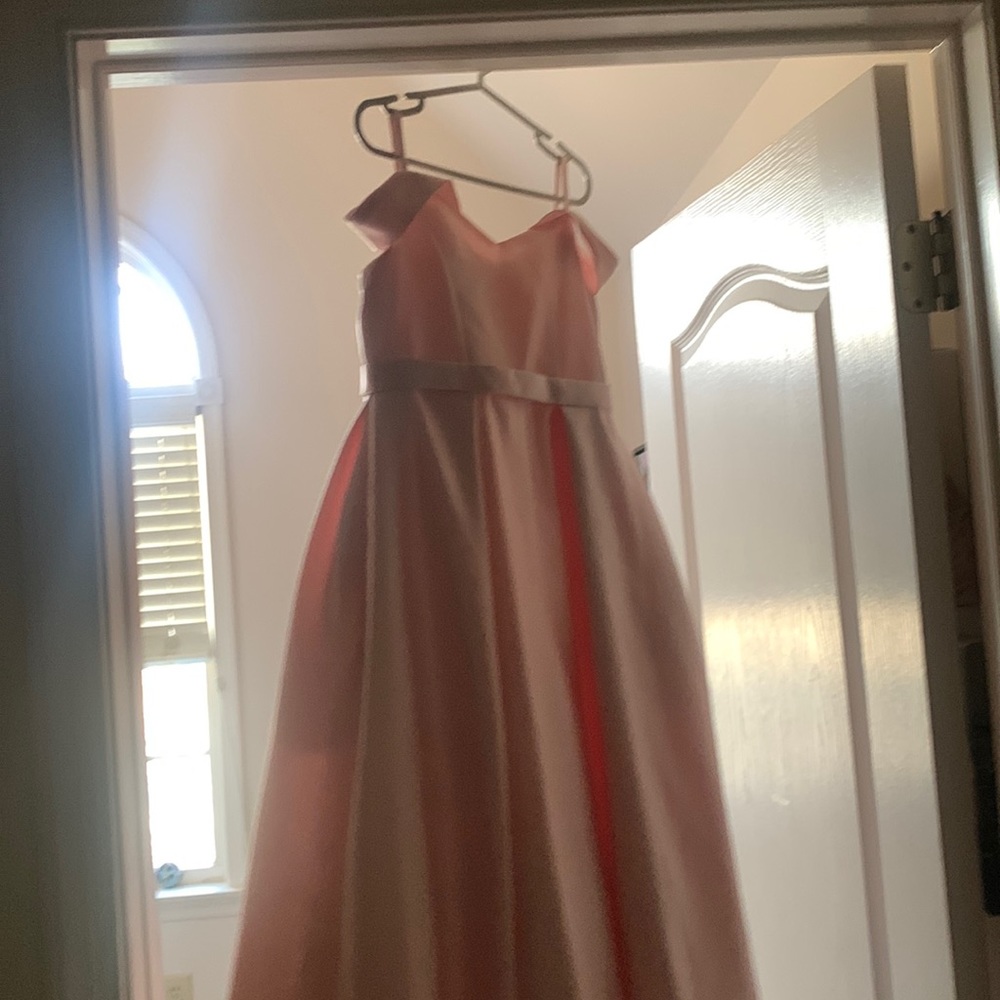 David’s Bridal Flower pale pink girl dress. Worn once